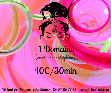 Domaine 1
